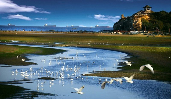 1616410882853207.jpg t012936062815a4548d.jpg